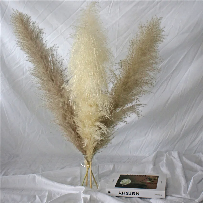 

80cm/pc Pampas Grass Dried Natural Phragmites Flowers Decor Home Wedding Christmas Big Reed Plants Flower Bouquet Decoration