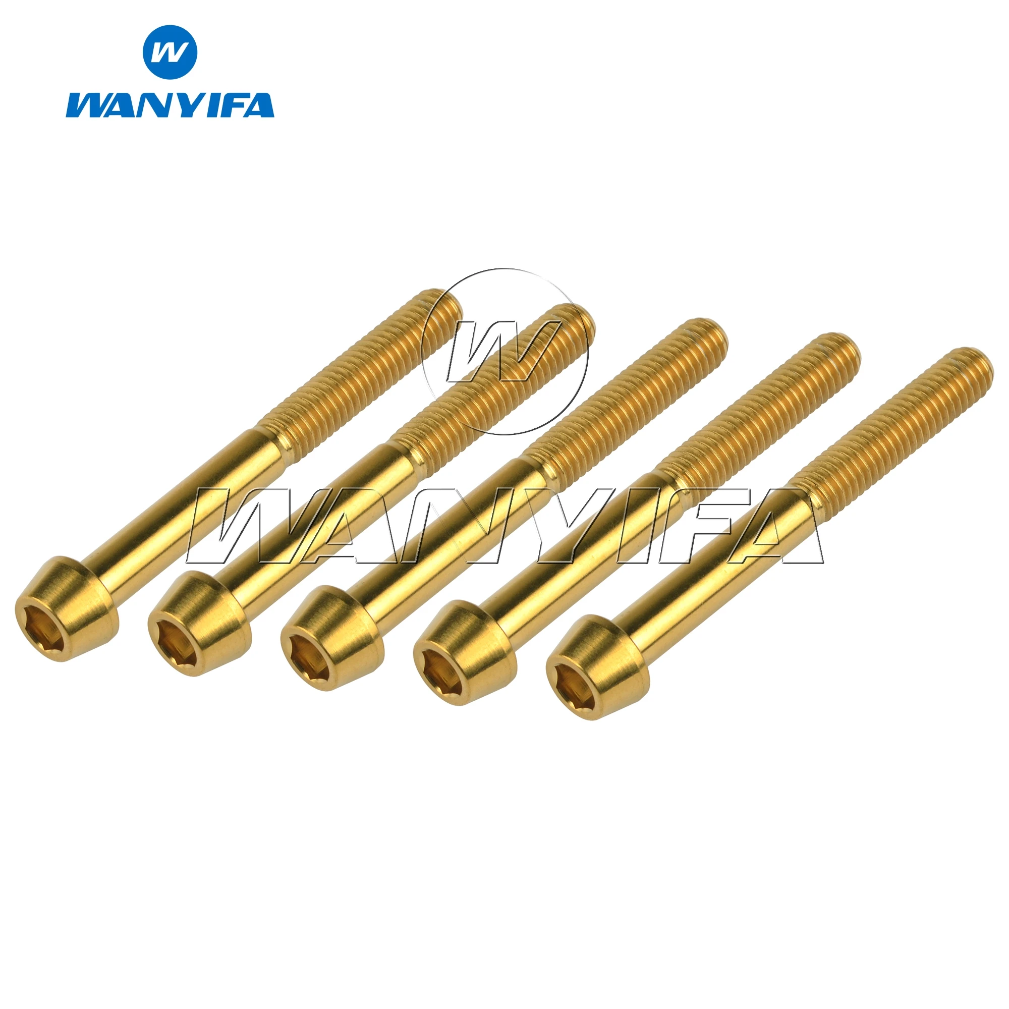 Титановый титановый болт Wanyifa m6x55 мм DIN912 Шестигранная головка винт для велосипеда