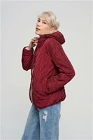 lamb flocking cotton padded clothes female new winter han edition with comfortable soft cotton jacket zipper hooded jacket frock