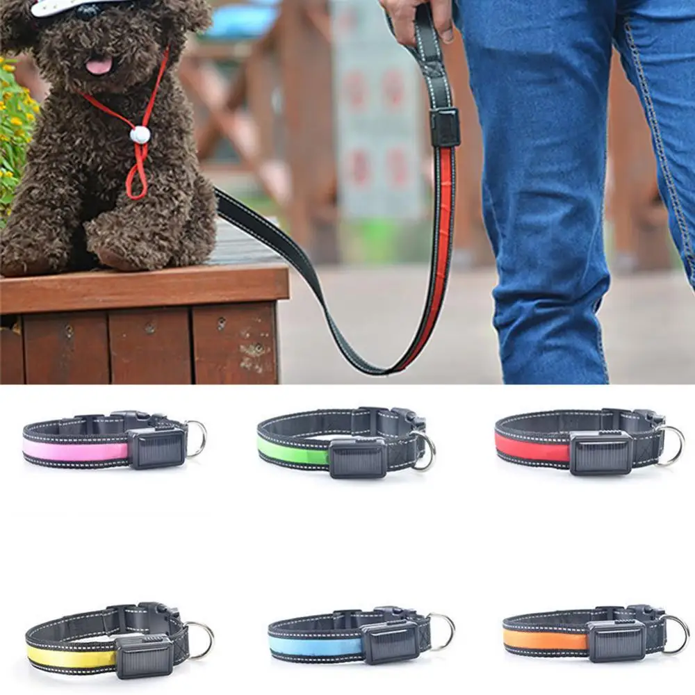 

80% Hot Sales!!! LED Flashing Light Solar USB Rechargeable Pet Dog Adjustable Safety Collar Strap