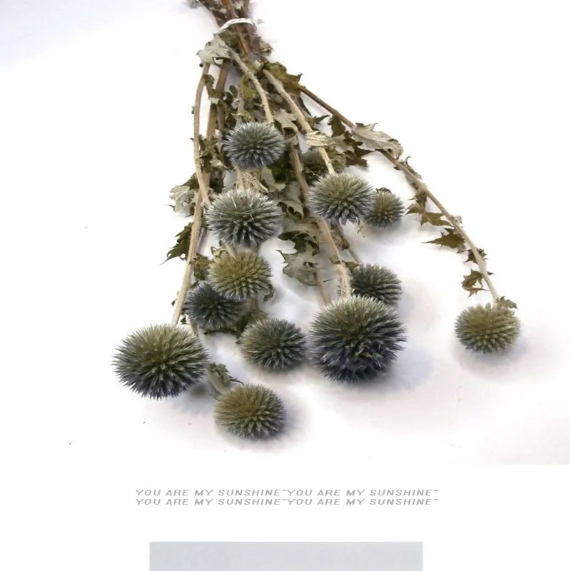 1 шт. натуральные сухие цветы для украшения дома | Дом и сад