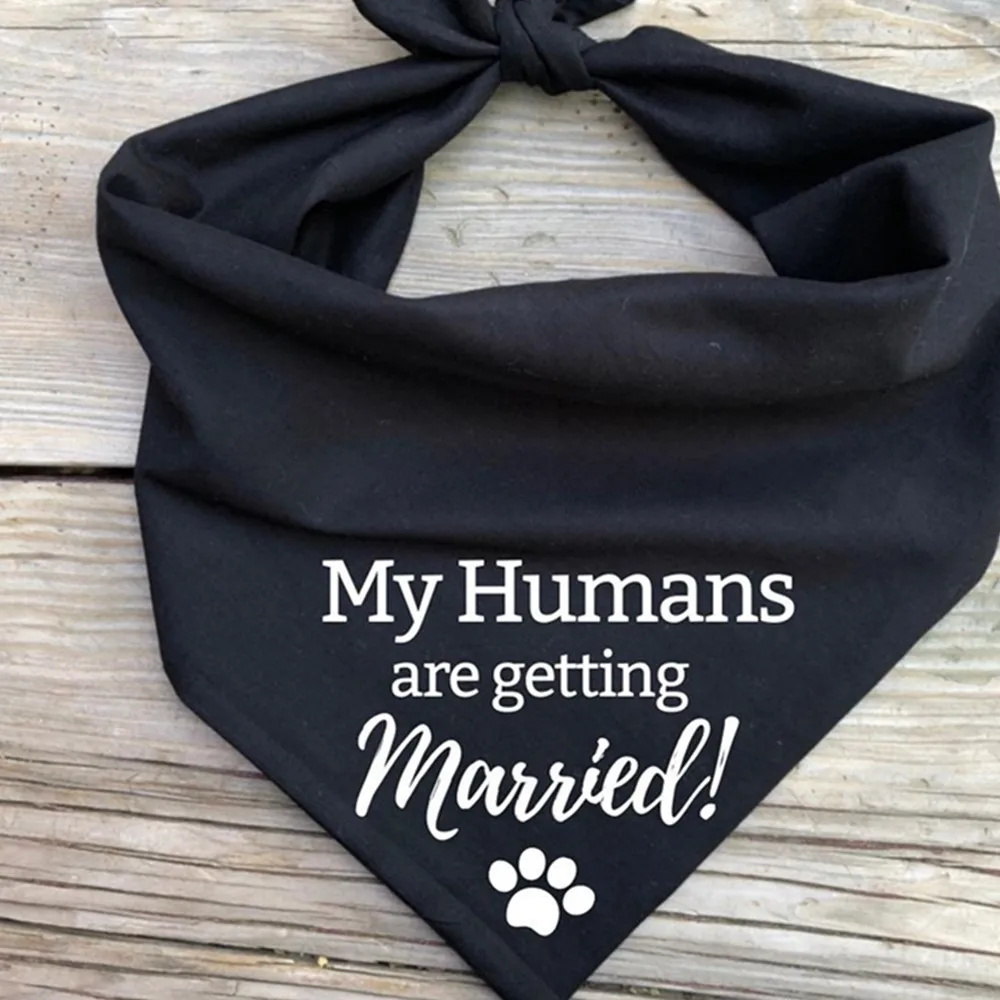 Precio mi perro pañuelos