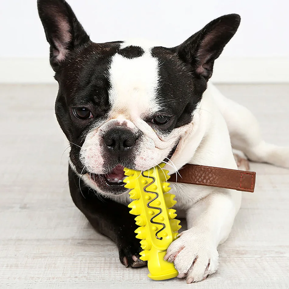 Красивая и лучше жевательные игрушки для собак Игрушки прорезыватели мячик