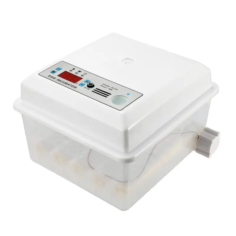 Инкубатор для куриных яиц 220 В 16 | Дом и сад