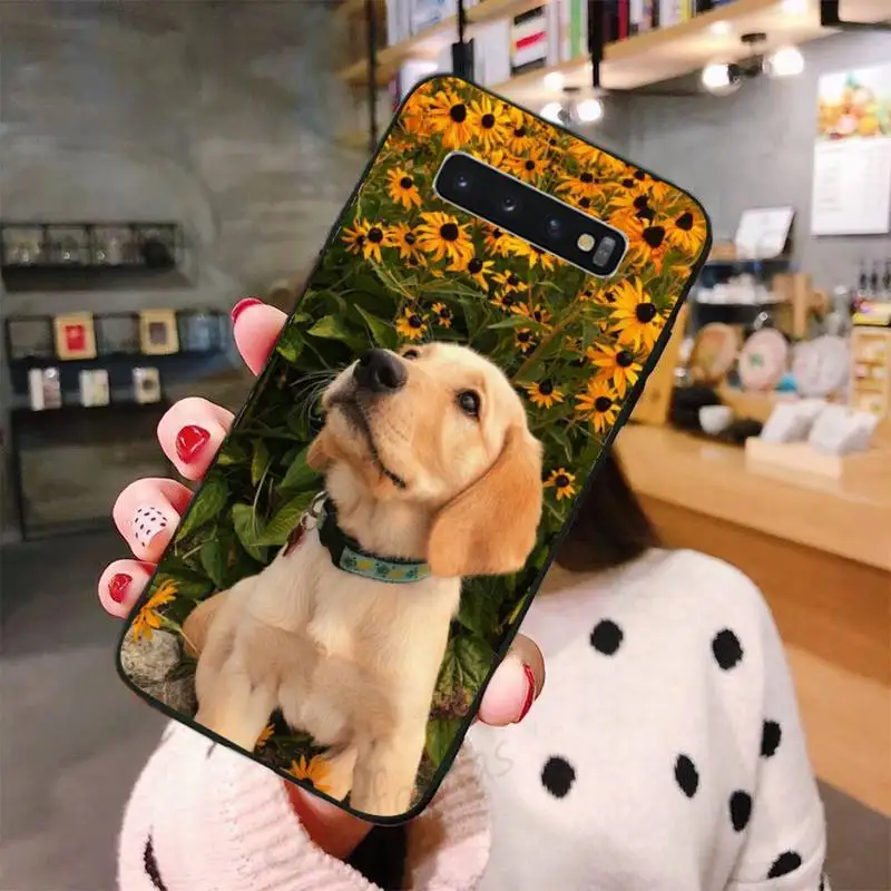 

Cute golden retriever dog Phone Cases For Samsung A50 A51 A71 A20E A20S S10 S20 S21 S30 Plus ultra 5G M11 funda shell