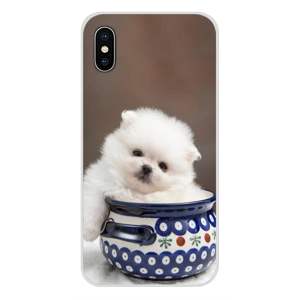 images 11 Pomeranian dogs для Apple IPhone X XR XS MAX 4 4s 5 5S 5C SE 6 6S 7 8 Plus ipod touch 5 6 Аксессуары чехлы для телефонов - Цвет: images 11