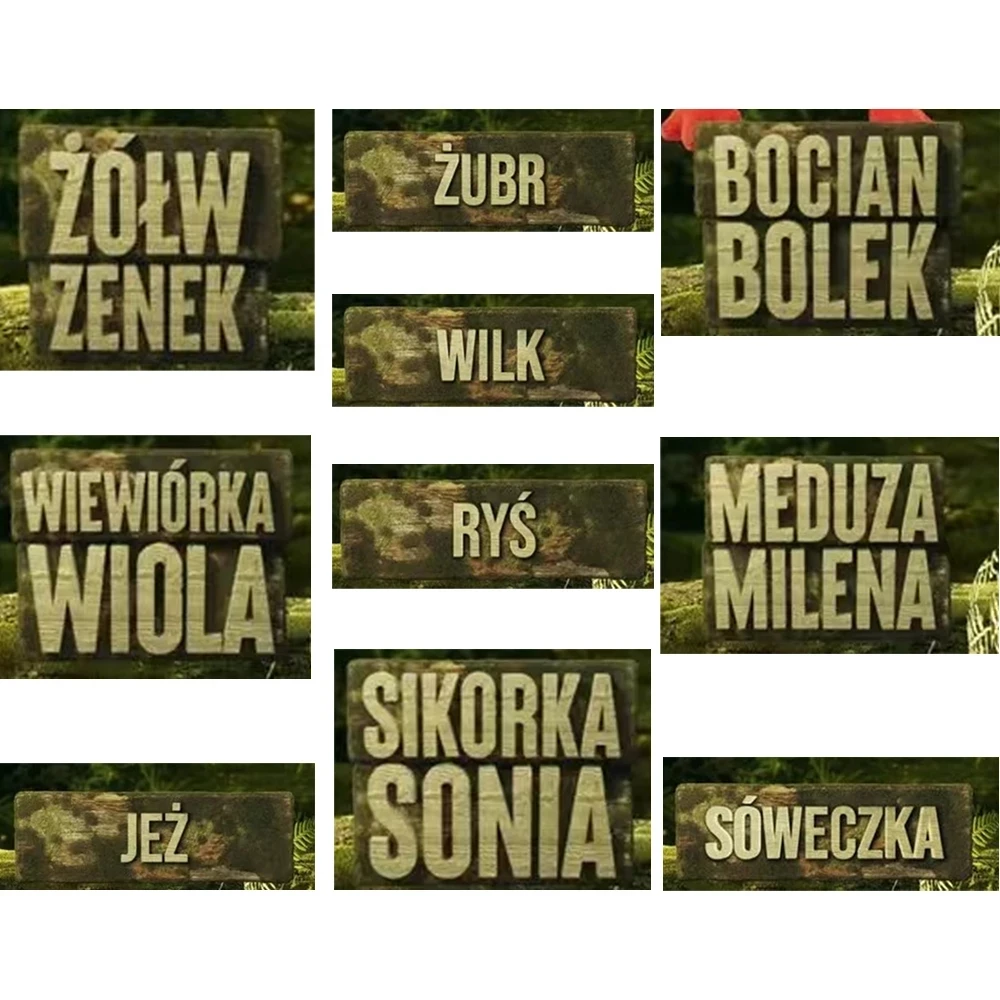 2021 банды талисманы Смешные любимые животные плюшевые Sowa Meduza Milena MAGICZNE своего