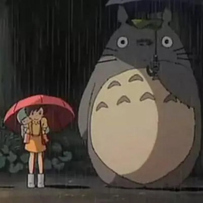 Totoro плюшевые Японские Аниме Миядзаки Хаяо Милые Тоторо Мягкие игрушки куклы