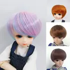 BJD SD 13 14 16 18 высокая температура fiberdoll парик крышка милые мальчики и девочки короткие волосы 24 цвета