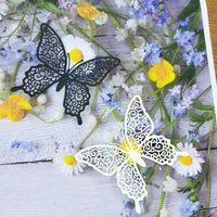 metal cutting dies new arrival 2021 for scrapbooking butterfly dies embossing folder die cut stencil