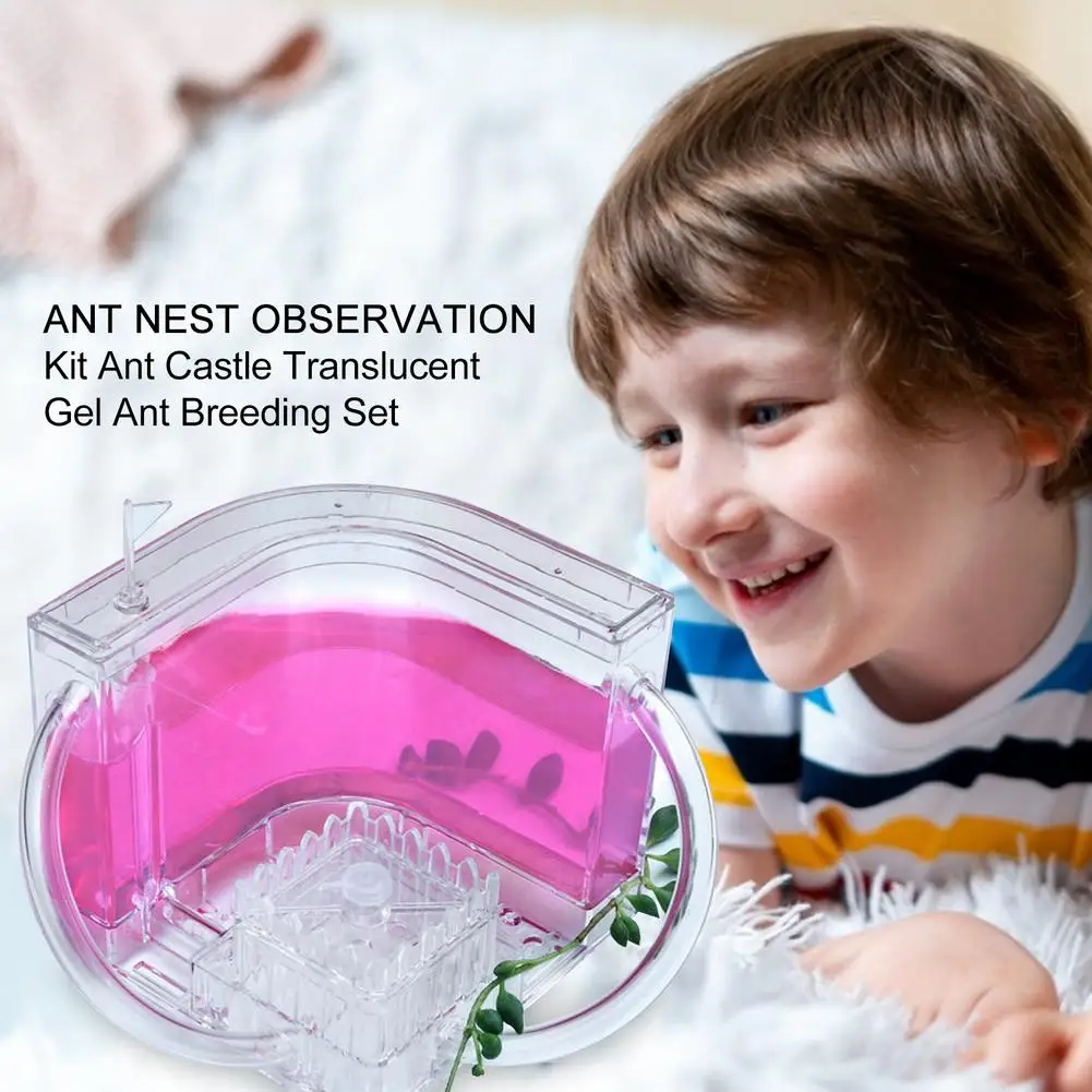 2021 Acrylic Ant Farm Ant House Castle Colorful Insect Terrarium Ant Cage Insect Box Ecological Kid Educational Model Toy images - 6