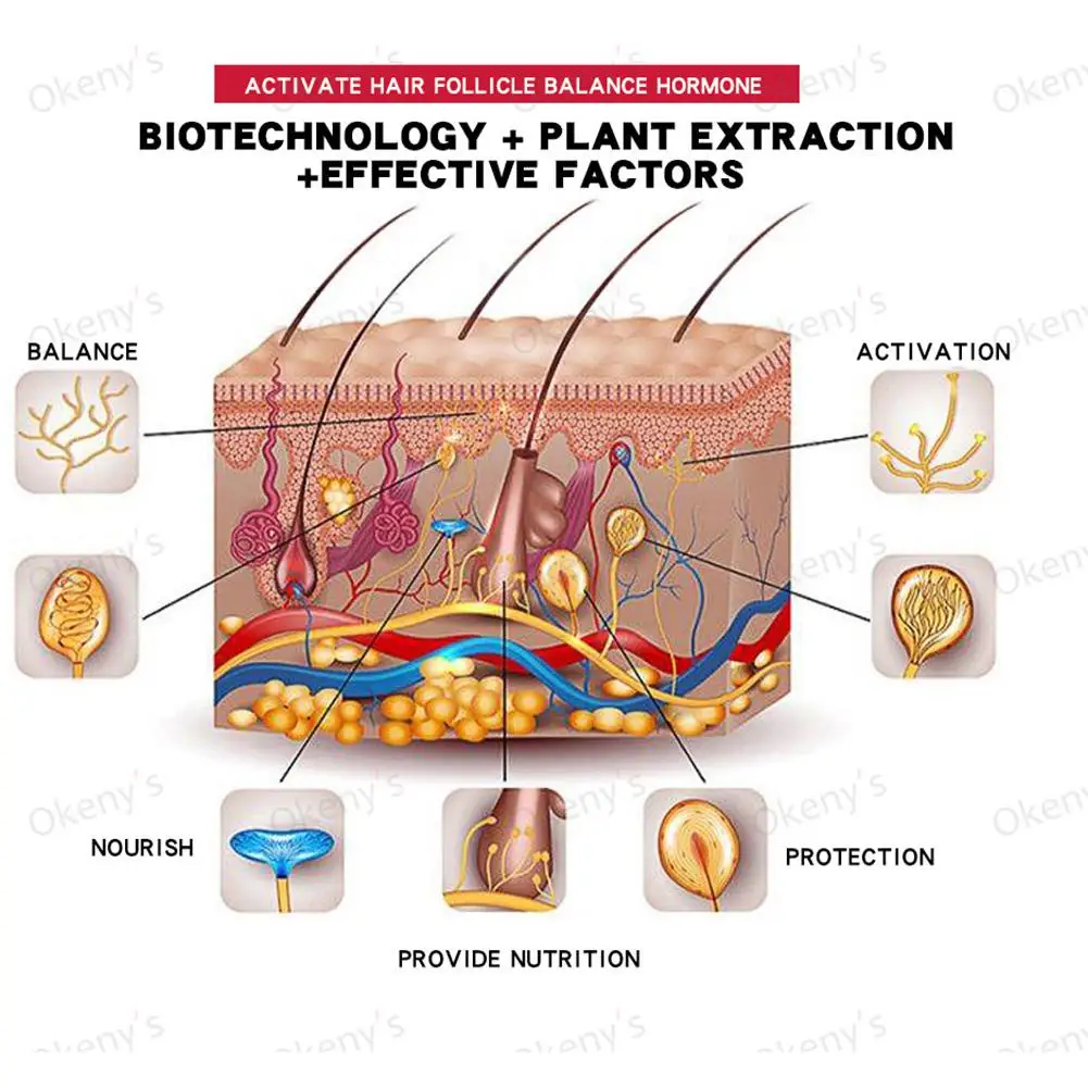 Синий зоопарк 20 мл натуральное мужское эфирное масло для бороды роста усов и