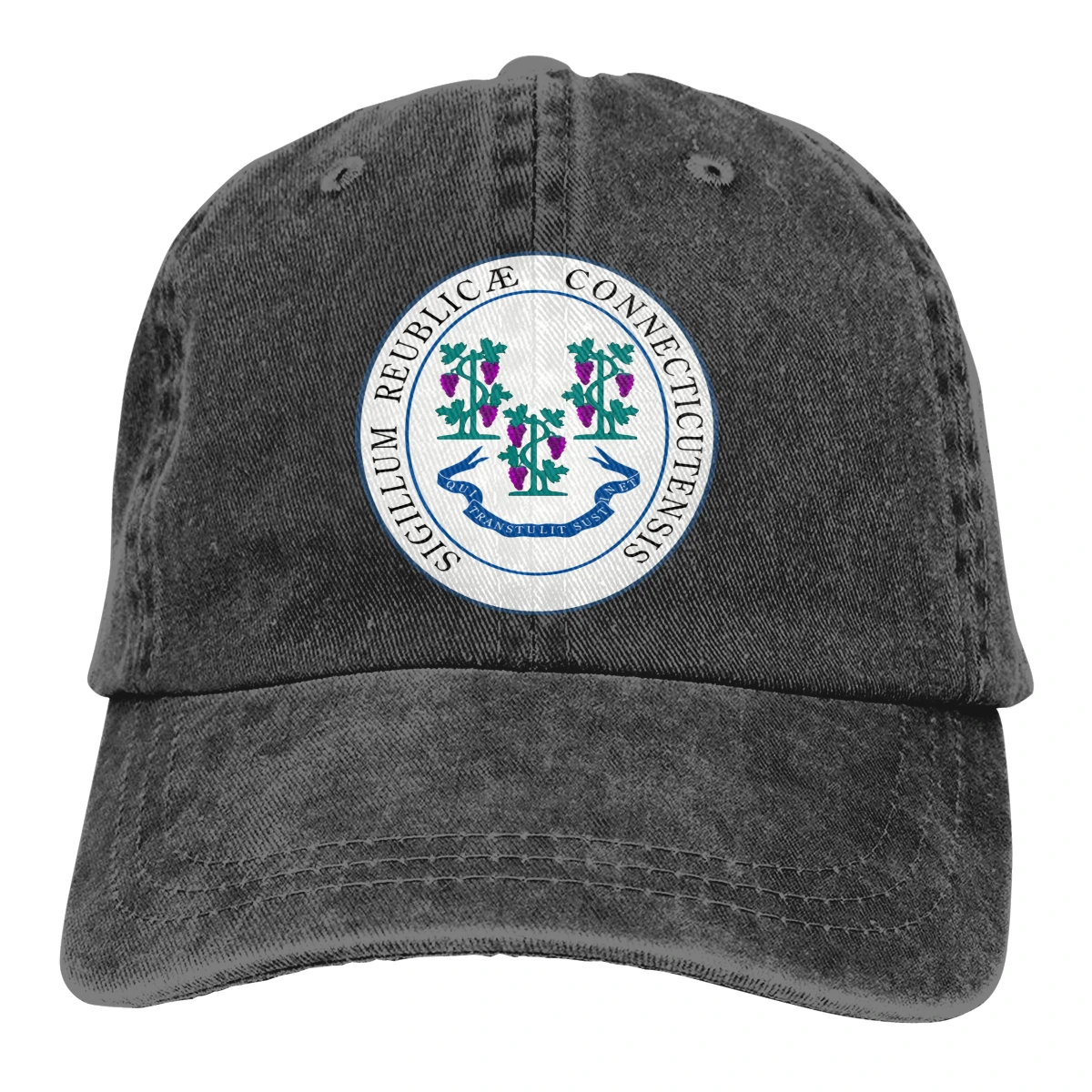 

Connecticut State 2 mans woman's Retro Washed Cowboy hat Trucker Hat