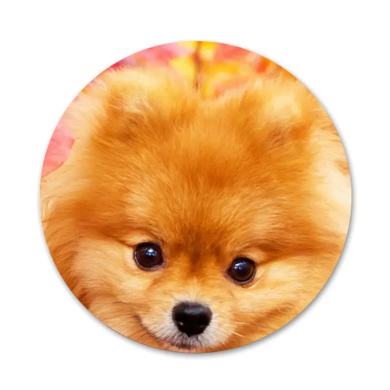 Брошь значок косплея с изображением милого померанского собаки аксессуары для