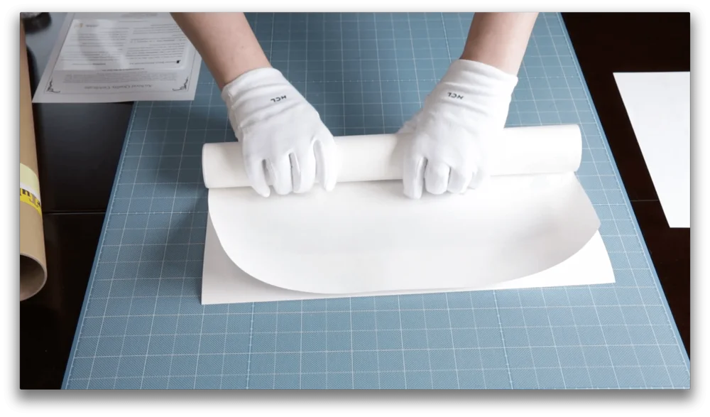 

Tasmania Flower Season Travel Vintage Wall Art Poster Print. Great Decor decoration salon Print Wall Picture Canvas Painting