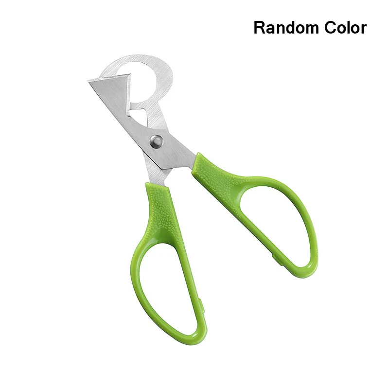 1 шт. Безопасный Прочный голубь перепелиное яйцо ножничный резак для птицы нож