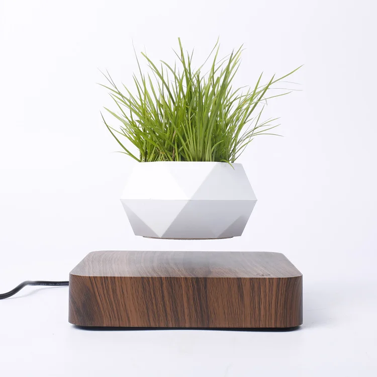 

Air purification magnetic levitation potted plant energy saving and environmental protection plant hanging flower pot li