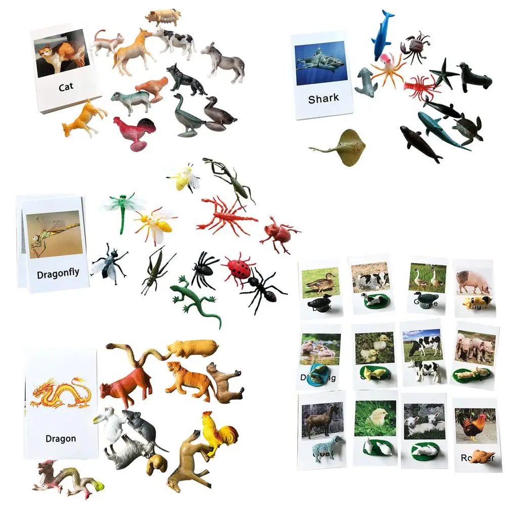 

Montessori Animal Model Card Miniature Ocean Animals With Matching Cards Insect And Animals Figurines And Cards For Preschool