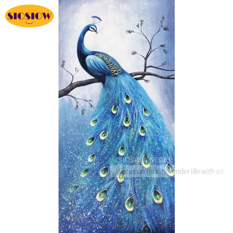 5D Диамантовая живопись "Перо павлина" животные 3D полный квадратный мозаичный бур Resin Daimond вышивка декор домашнего искусства.