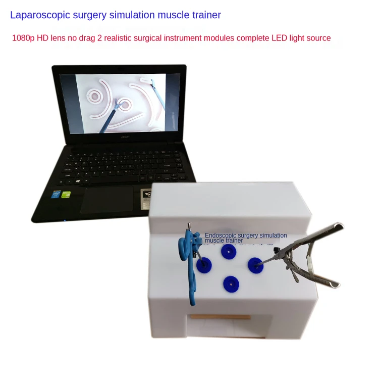 

Laparoscopic surgery simulation training equipment Thoracoscopy training box Needle-holding forceps Straight rod endoscopy