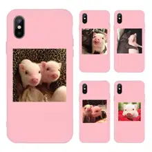 pig luxury Phone Case shell Candy Color for iPhone 11 12 mini pro XS MAX 8 7 6 6S Plus X SE 2020 XR