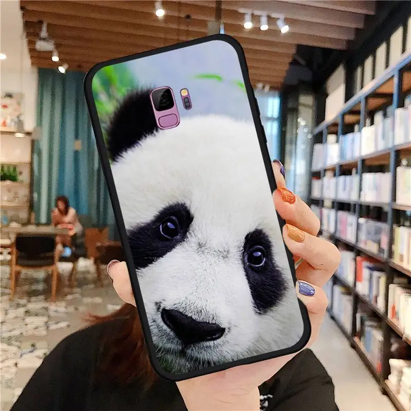 

Asian Baby Panda Bear China Phone Case For Samsung galaxy S 7 8 9 10 20 edge A 6 10 20 30 50 51 70 note 10 plus