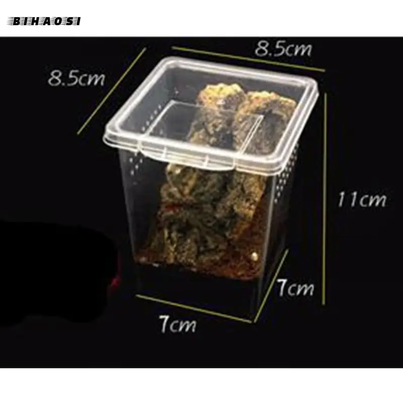 Прозрачная пластиковая коробка для кормления рептилий 33/10/7 шт.|Товары насекомых|