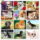 5D алмазная живопись своими руками, вышивка крестом, померанские собаки, полная круглая Алмазная вышивка, домашнее украшение