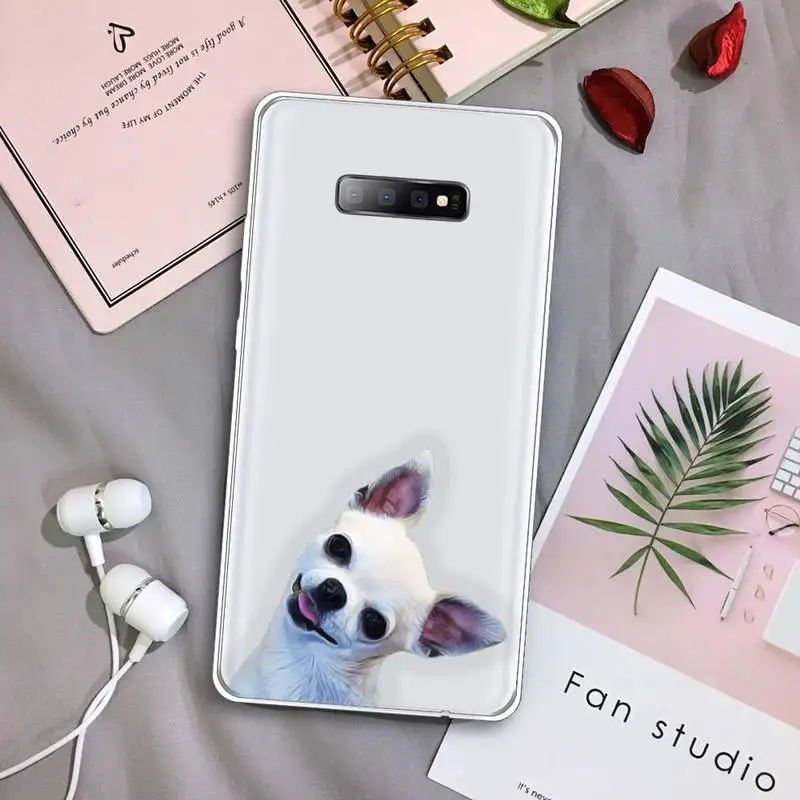 

Chihuahua Dog Cute Phone Case Transparent For Samsung Galaxy S A 5 7 8 9 2015 20 edge plus 10 e lite 2019 protective funda