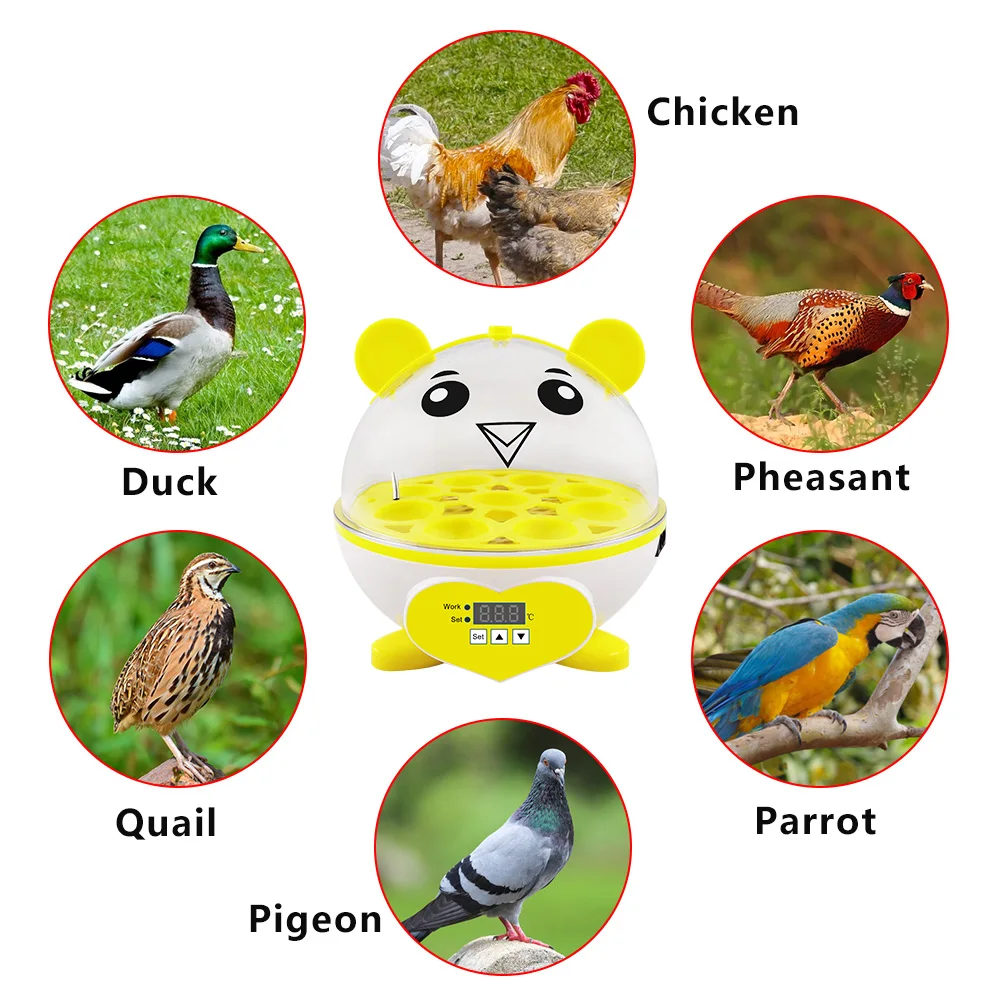 Инкубатор для яиц 220 В Брудер цыплят инкубатор птиц автоматический инкубационный