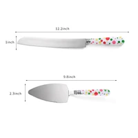 food grade home use stainless steel cake cutter and cake server set with plastic handle