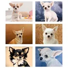 Алмазная живопись для домашних животных, мозаика для вышивки крестиком с изображением собаки чихуахуа, 5D полное украшение для дома, творчество