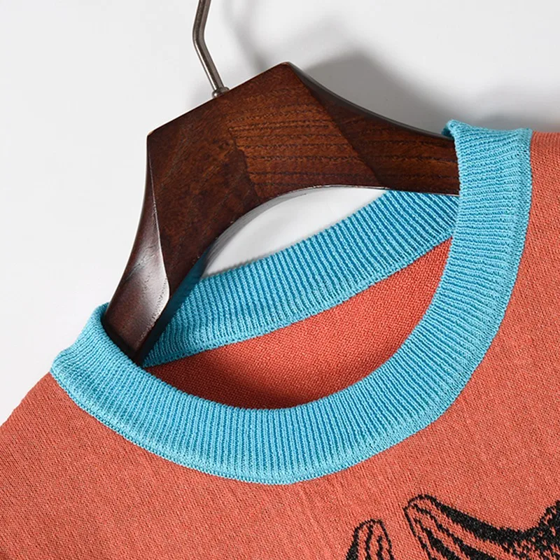 Свитер женский 2019 Весна Лето Повседневный пуловер Джемперы змея Kawaii 3D голова