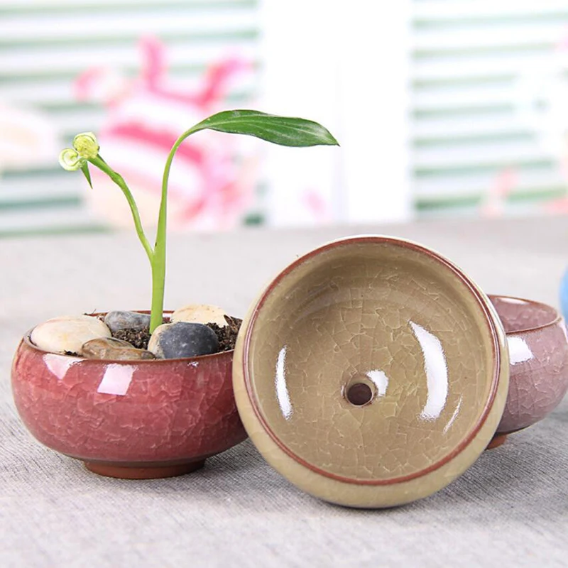 8 шт./лот мини сочные растения ваза для цветов цветочные горшки креативные