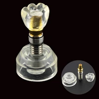 typodont dental model implant single clear stand implant crown removable 3 parts tooth for dental clinics school