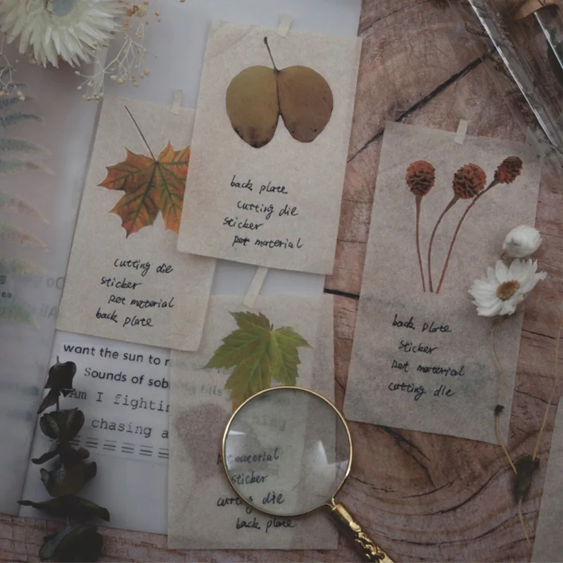 20 шт. Милая декоративная наклейка s Kawaii растительная канцелярская питомец