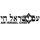 Наклейки на автомобиль, Израиль, Живая версия, забавные автомобильные наклейки, серебристыечерные наклейки из ПВХ, наклейки для автомобиля, Стайлинг, украшение для автомобиля, 35,6*10 см