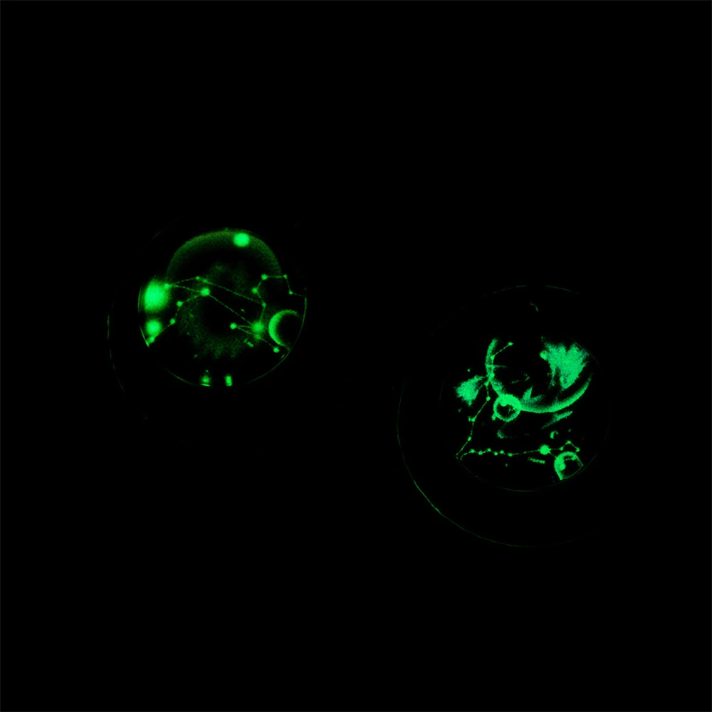 

Fashion Necklace Twelve Constellations Starry Sky Luminous Necklace Hip-Hop Style Moon Star Combination Titanium Steel Pendant