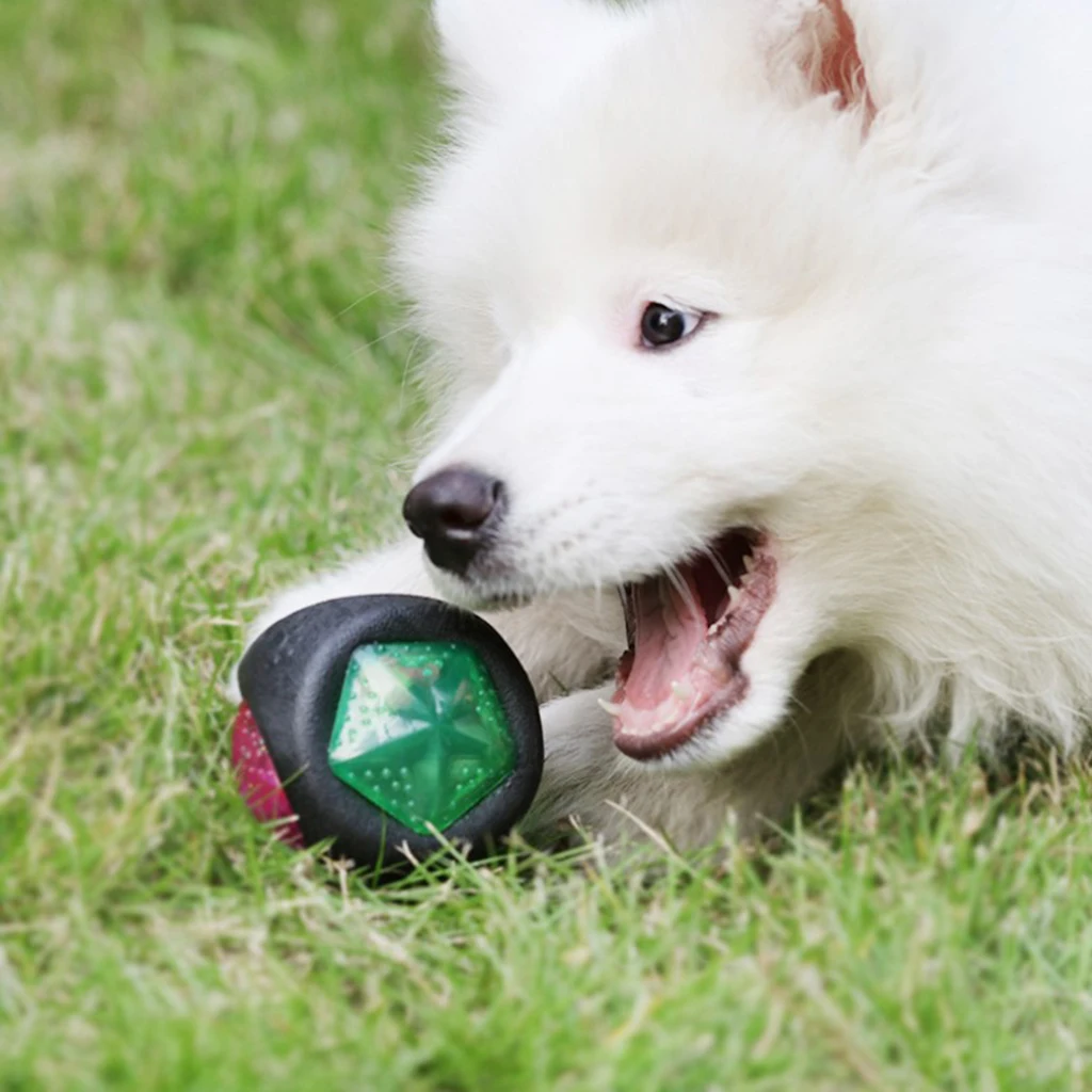 

Interactive Ball Toy Colorful LED Light Up Dog Chew Playing Toy Elastic Ball Small Pet Puppy Kitten Cats Dogs Supplies