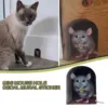Изображение товара 1