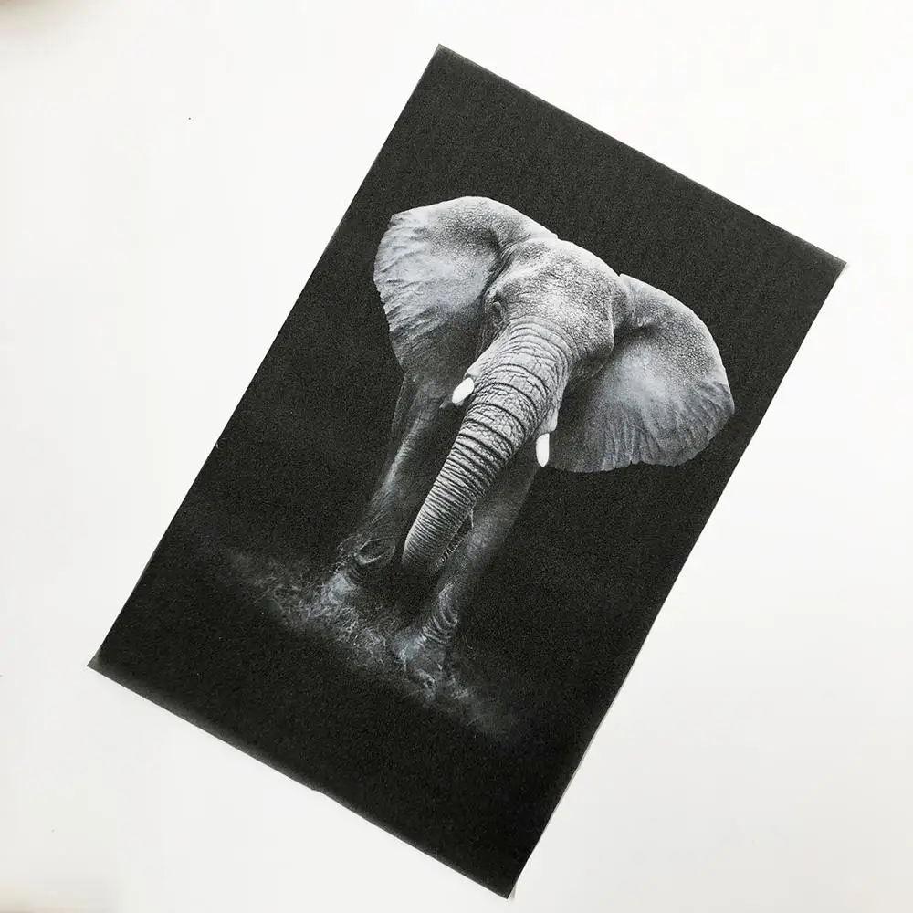 Оконные стеклянные пленки заказного размера Затемняющая наклейка витражная