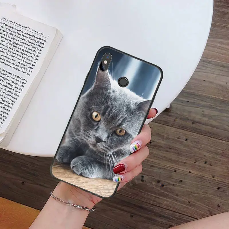 

Cute animal British Shorthair cat Phone Case For Xiaomi Redmi note 7 8 9 t max3 s 10 pro lite Luxury brand shell funda coque