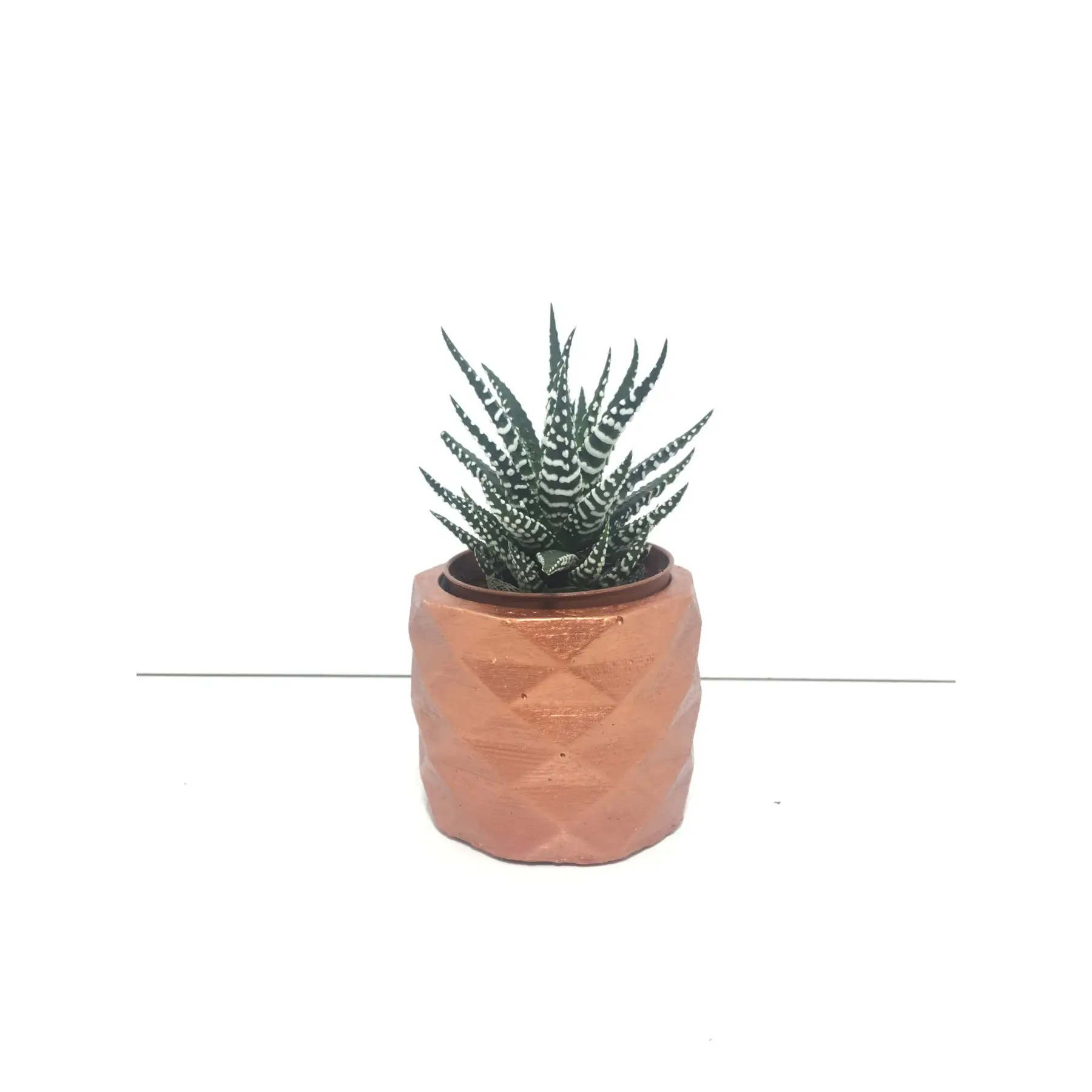 

Geometric Concrete Pot and Live Sukulent - YE1601