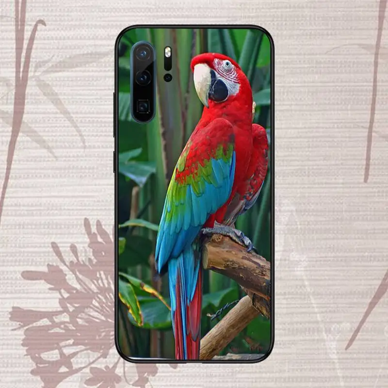

Parrot animal cute smart Phone Case For Huawei honor Mate P 9 10 20 30 40 Pro 10i 7 8 a x Lite nova 5t