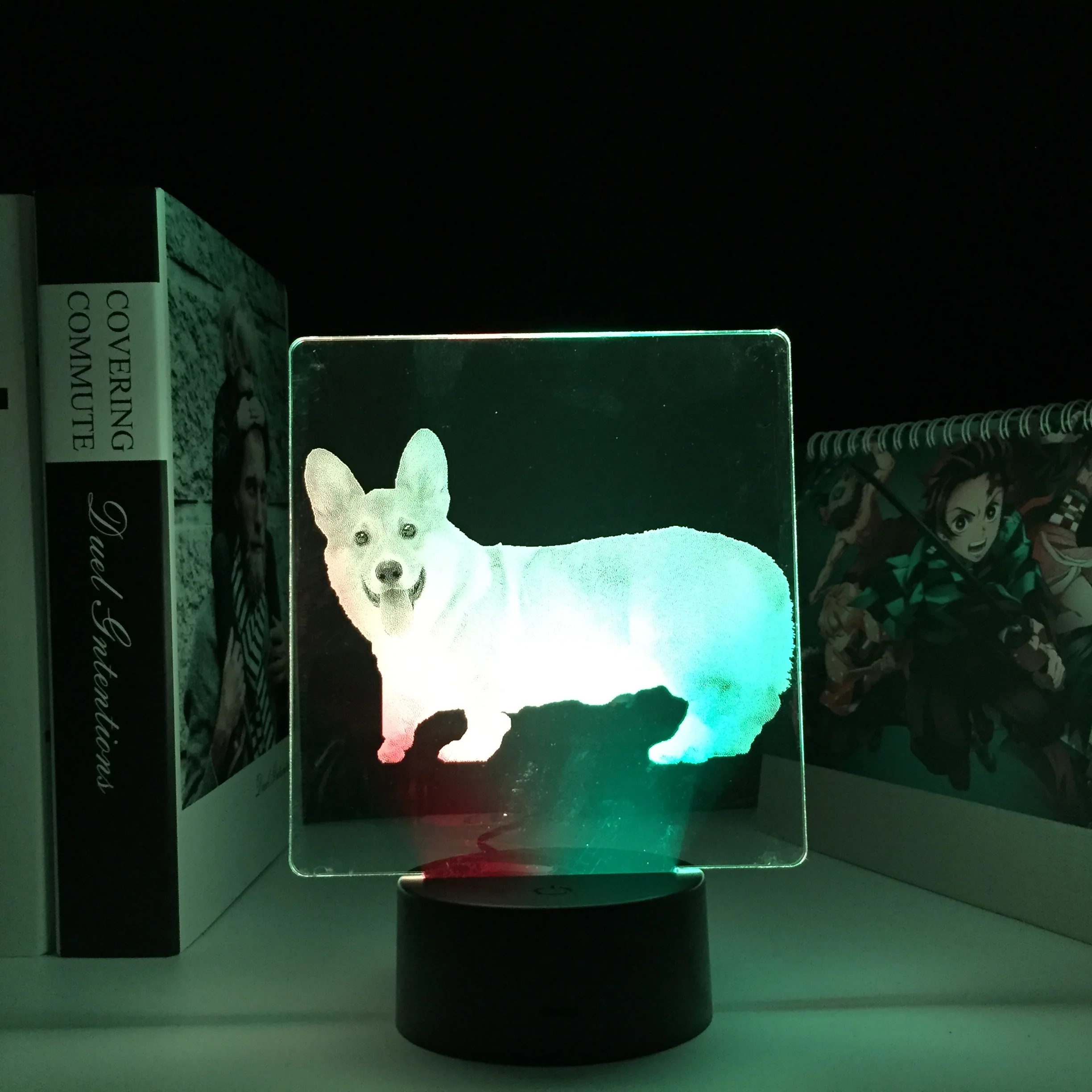 

Двухцветный ночной Светильник для детской спальни, подарок на день рождения, Такса, цветной двухцветный светодиодный светильник Акриловая ...