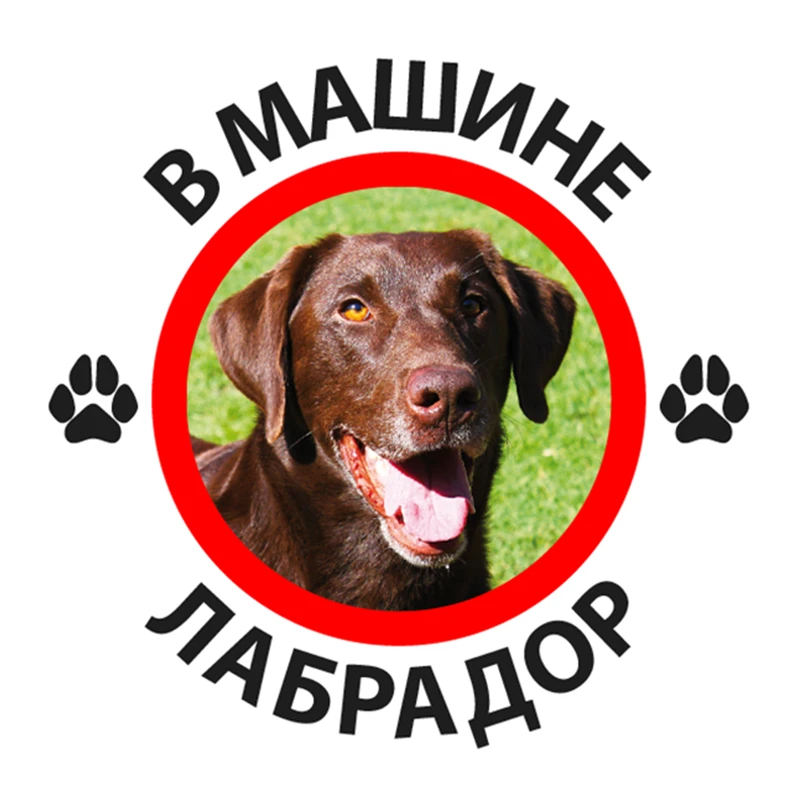 B0251 #10/13/15 см Лабрадор в автомобиле самоклеящаяся наклейка автомобильная