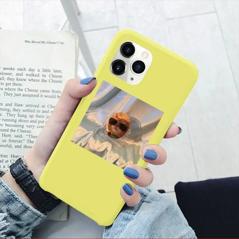 

Cute animal cat art design Phone Case Candy Color for iPhone 11 12 pro XS MAX 8 7 6 6S Plus X 5S SE 2020 XR