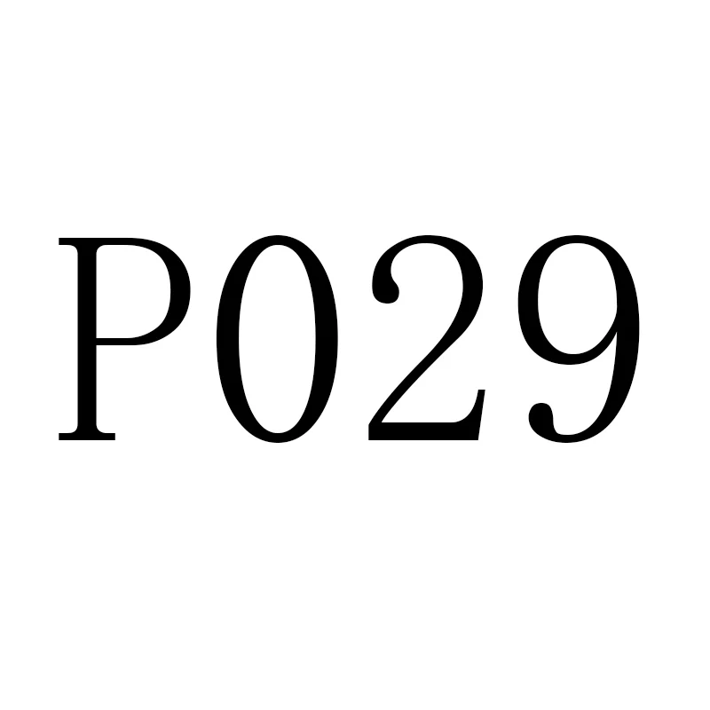 

P029