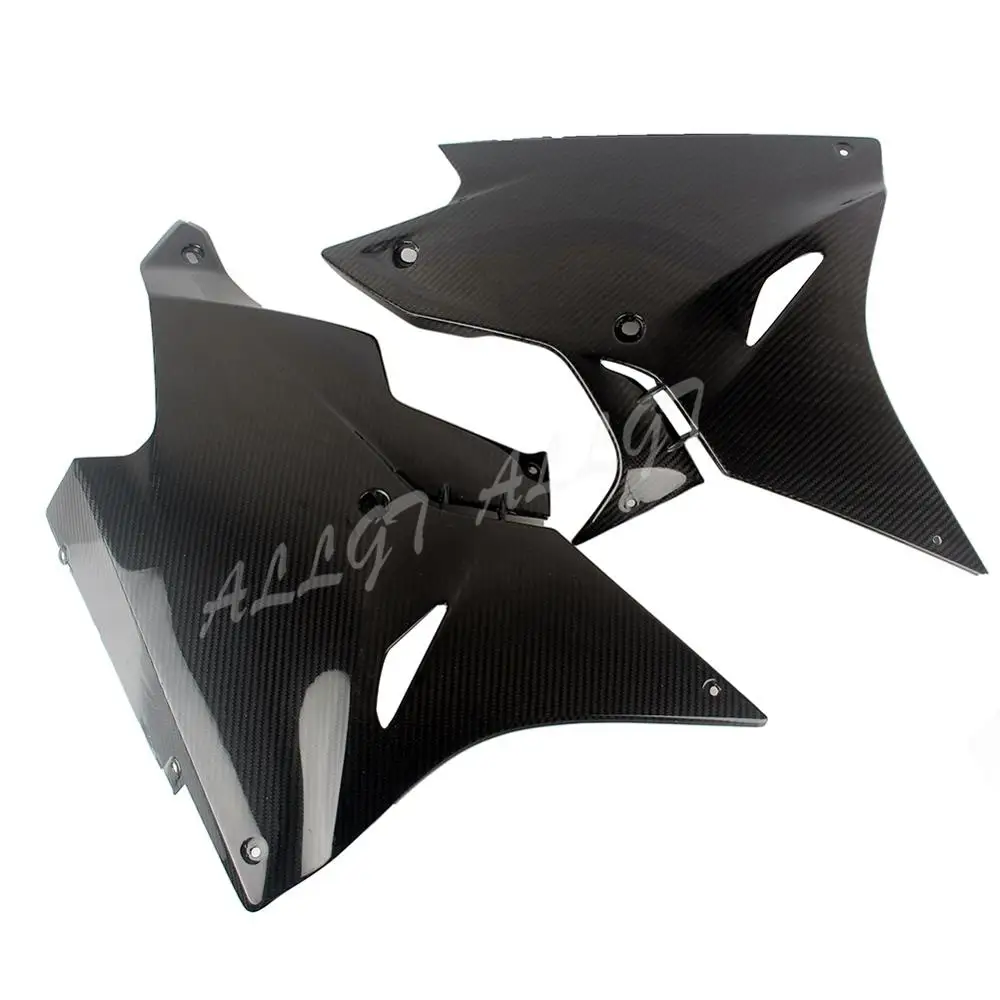 Предварительно Preg кастрюли для нижнего живота из углеродного волокна BMW S1000RR 2017