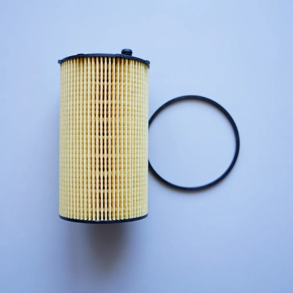 

Car Oil Air Filter Fit For Land Rover Discovery 3 4 L319 2.7TD Model 2008 2009 2010 2011 Oil Filter Core Accessories Oem1311289